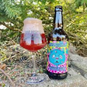 Fanø-Bryghus-Forrest-Trip