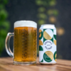 Gamma-Brewing-Organic-Pilsner