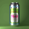Bad-Seed-Brewing-Toad-in-the-Hole