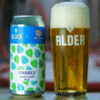 Alder-x-Bad-Seed-Brewing-collab-Gnarly