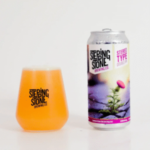 Stepping-Stone-Stereo-Type