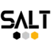 Salt-Logo
